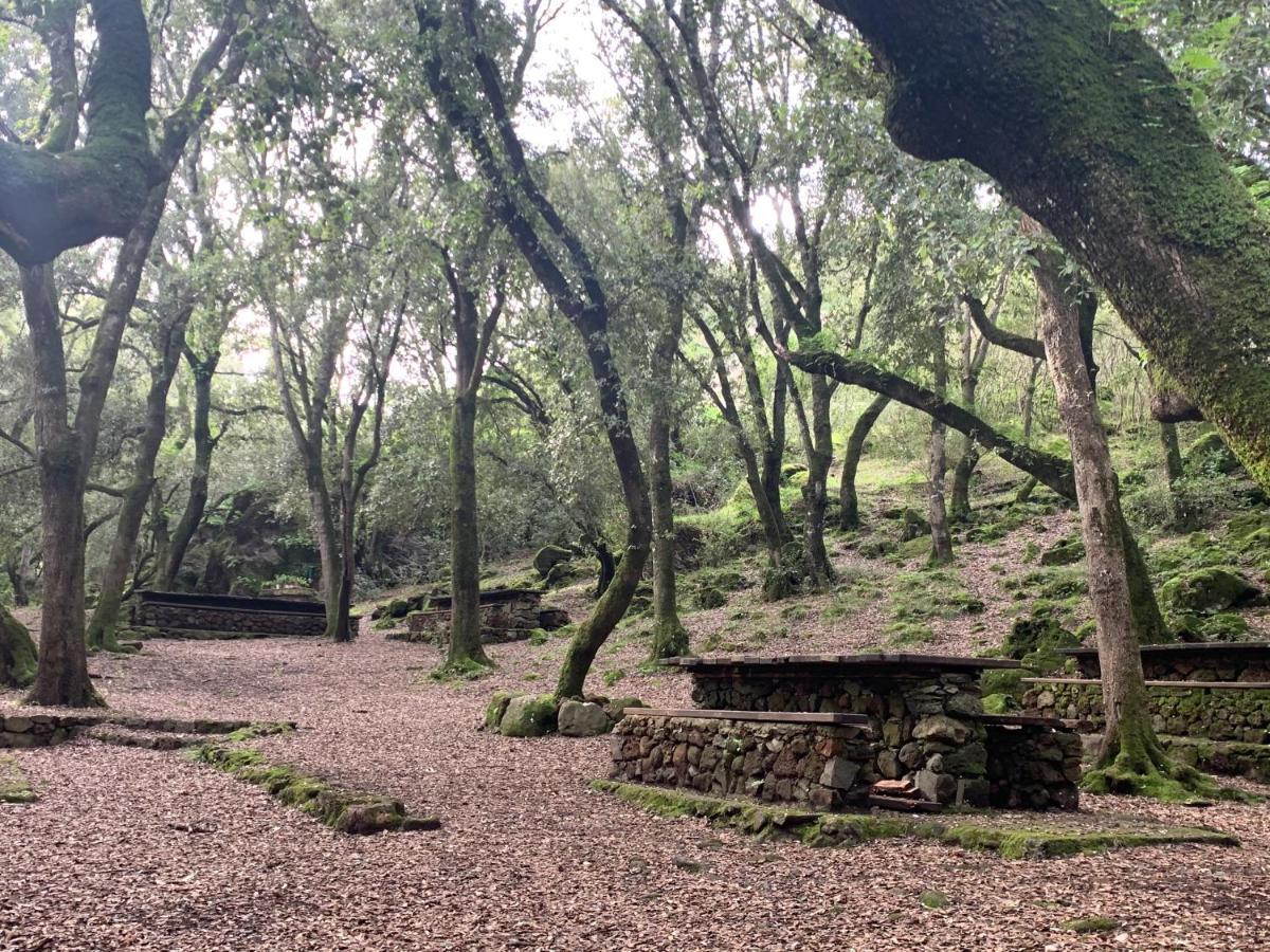 Agriturismo Terra Noas Villaurbana المظهر الخارجي الصورة