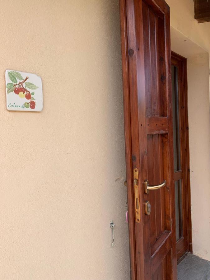 Agriturismo Terra Noas Villaurbana المظهر الخارجي الصورة